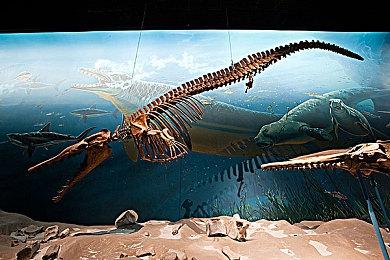 《收获日3》周年纪念更新10月30日上线 UI获得改进更新