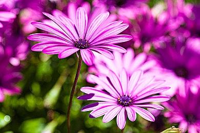 全境封锁2+重生边缘上线，9月WeGame新游重磅双响！